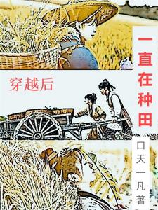 穿越后种田养夫郎小说